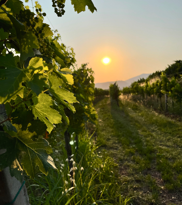 Villa Franciacorta - Sostenibilità Environmental